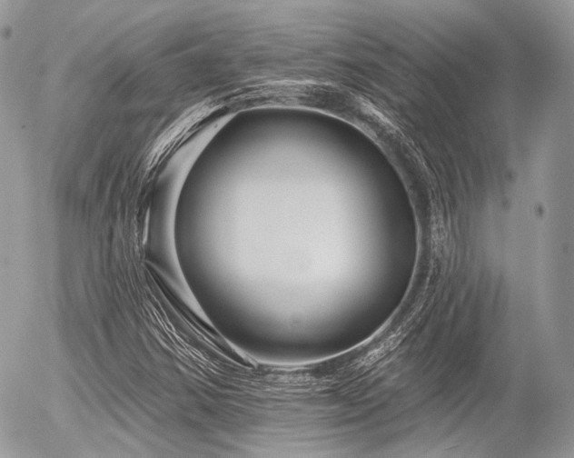 X0000056311354200508261119