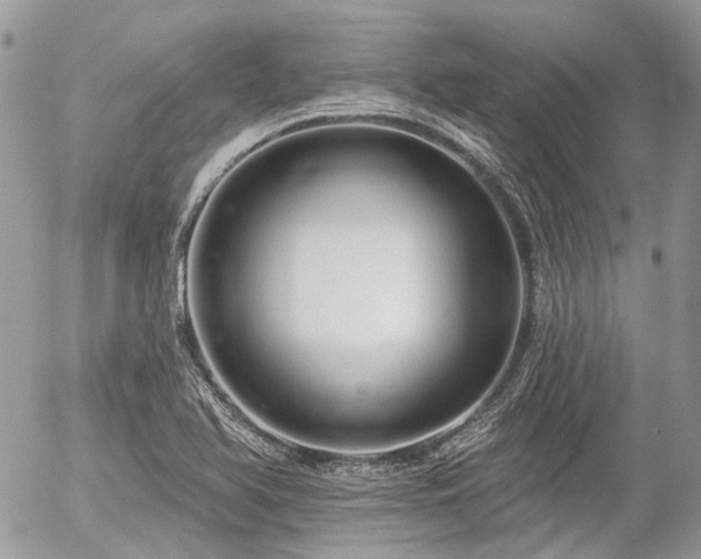 X0000056311366200508261119