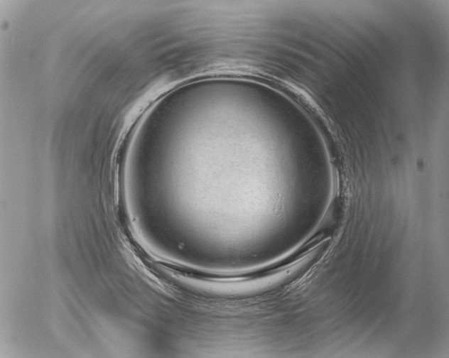 X0000056311371200508261119