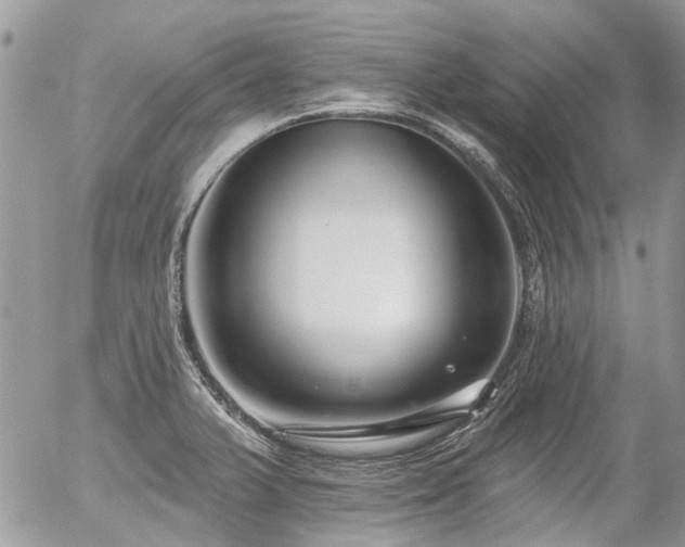 X0000056311375200508261118