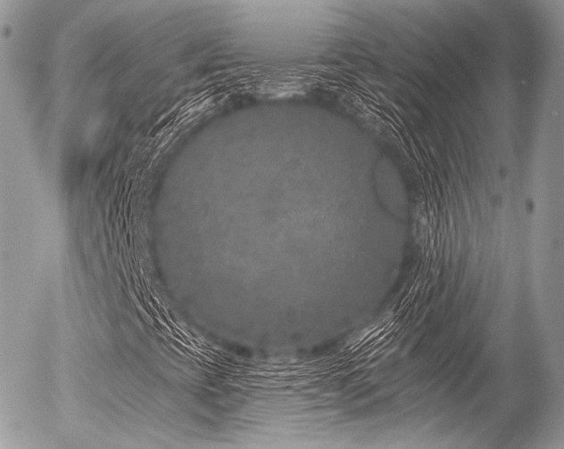 X0000056311393200508261117