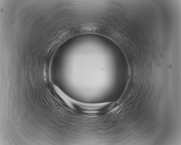 X0000056311394200508261117