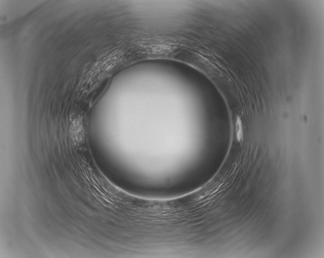 X0000056311395200508261117