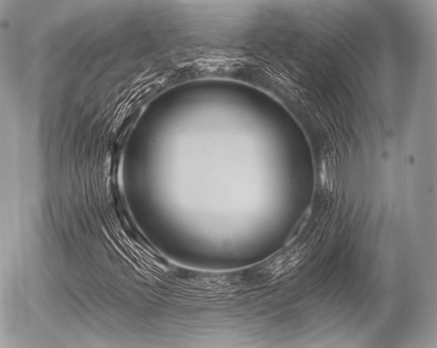 X0000056311396200508261117