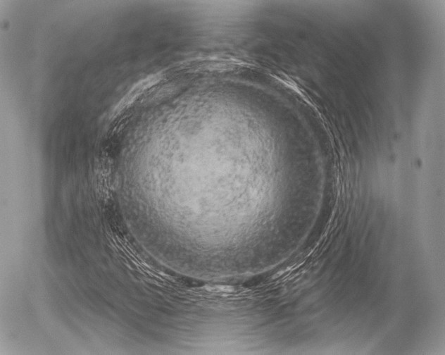 X0000056311399200508261117