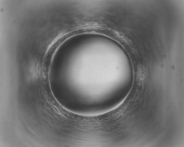 X0000056311400200508261117
