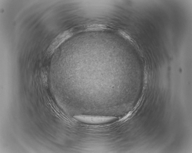 X0000056311401200508261118