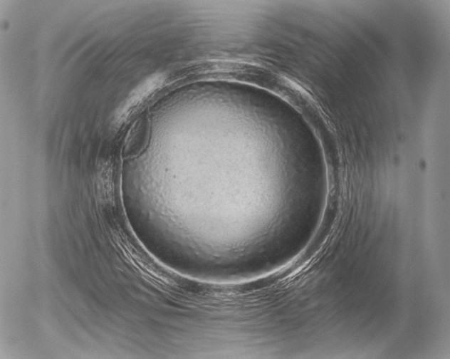 X0000056311403200508261118