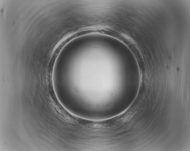 X0000056311412200508261118
