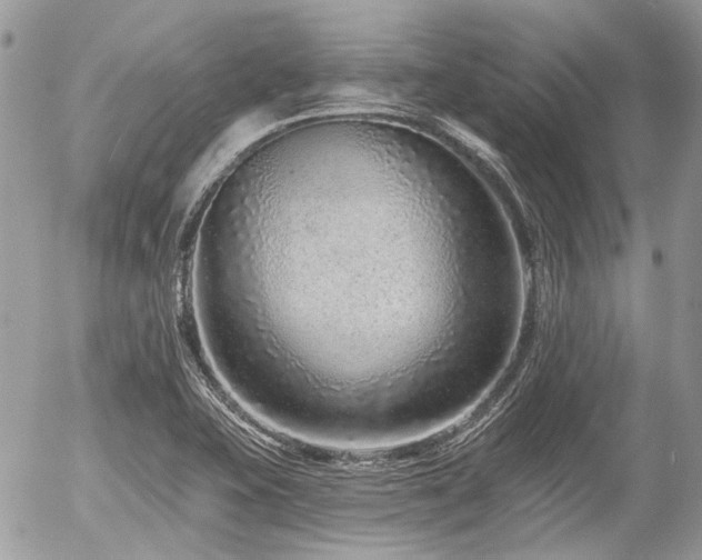 X0000056311415200508261118