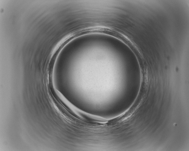 X0000056311418200508261118