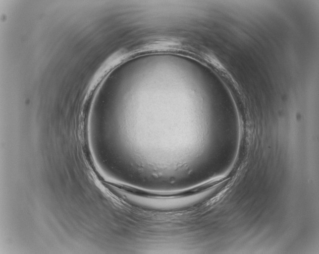 X0000056311421200508261118
