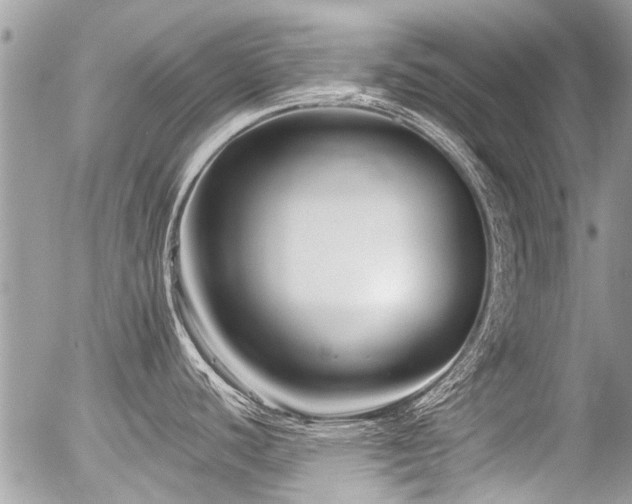 X0000056311440200508261118