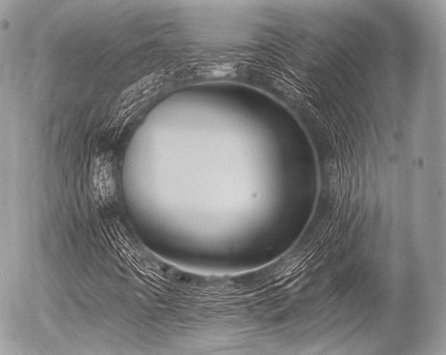 X0000056311442200508261117