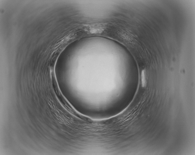X0000056311443200508261117