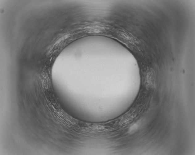 X0000056311446200508261117