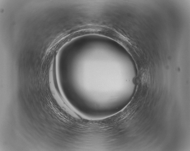 X0000056311448200508261117