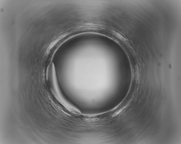X0000056311453200508261117