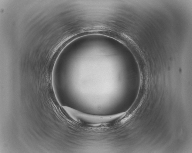 X0000056311457200508261117