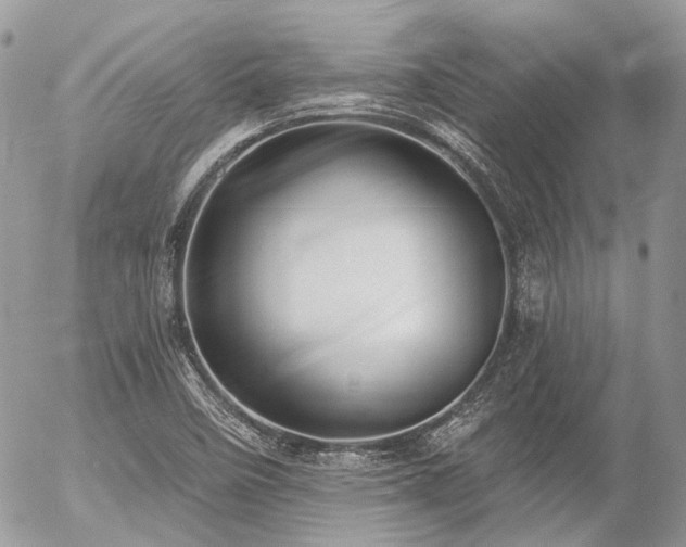 X0000056311458200508261117