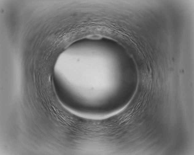 X0000056311489200508261116