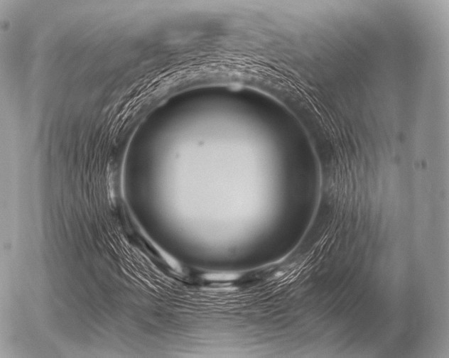 X0000056311490200508261116
