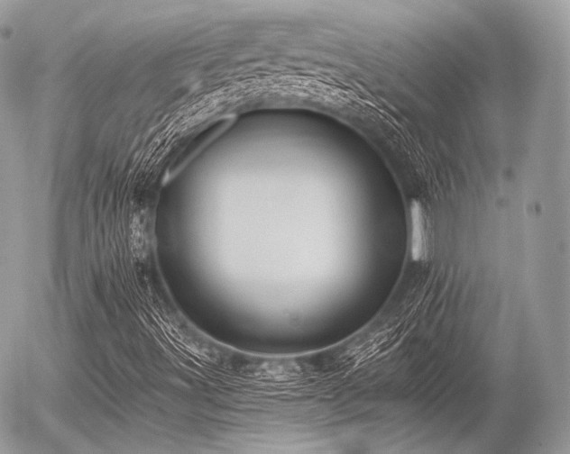 X0000056311491200508261116