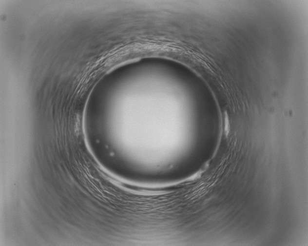 X0000056311492200508261116