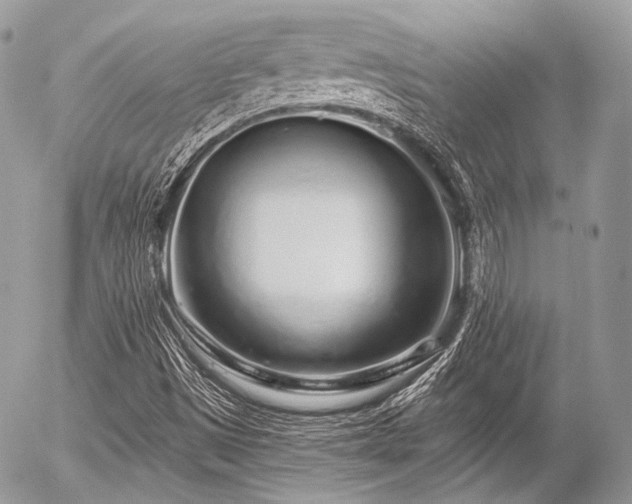 X0000056311497200508261116