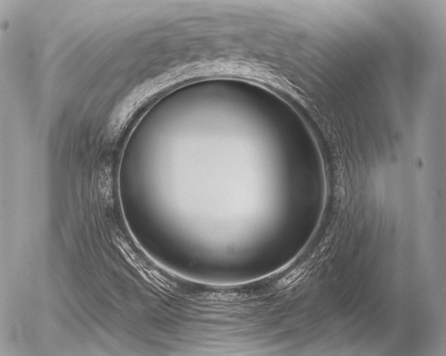 X0000056311499200508261116