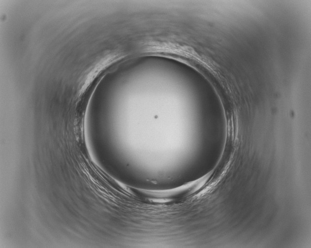 X0000056311501200508261116