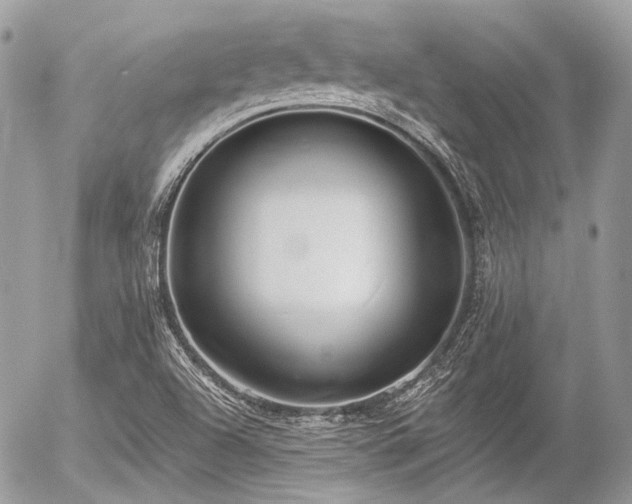 X0000056311504200508261116