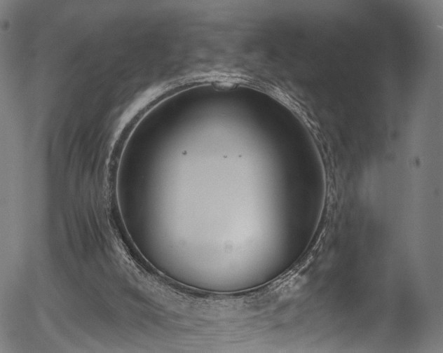 X0000056310008200508291205