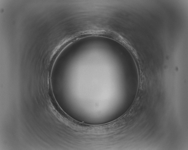 X0000056310011200508291205