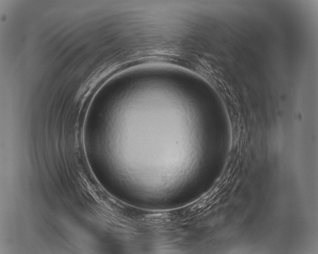 X0000056310050200508291204