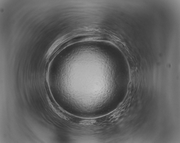 X0000056310051200508291204