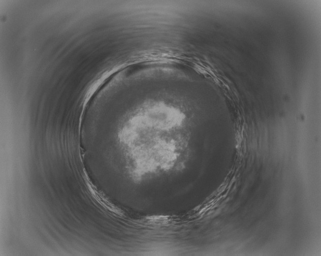 X0000056310052200508291204