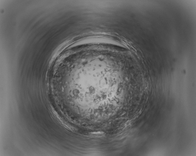 X0000056310053200508291204