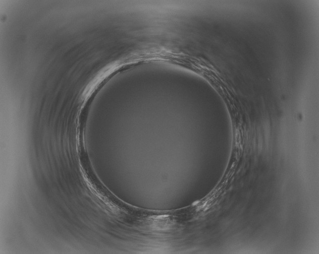 X0000056310054200508291204
