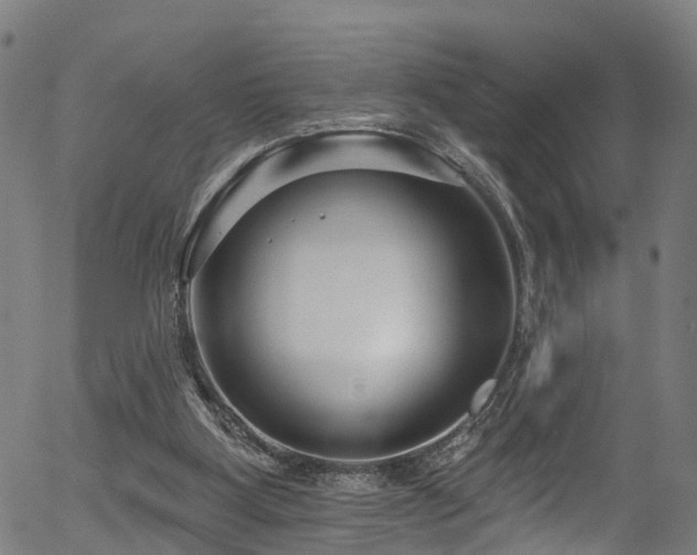 X0000056310107200508291204