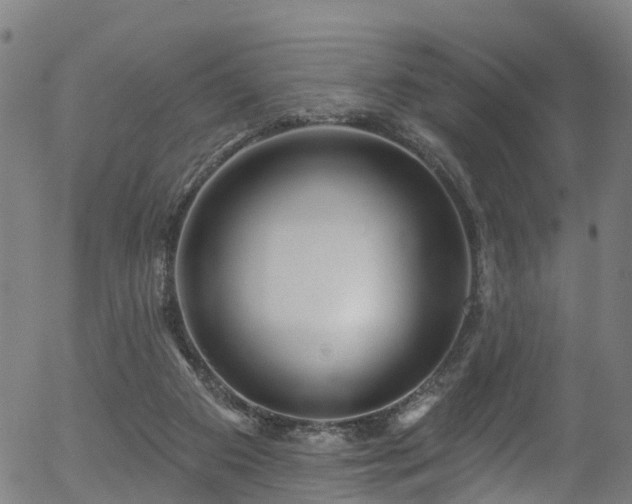 X0000056310113200508291203