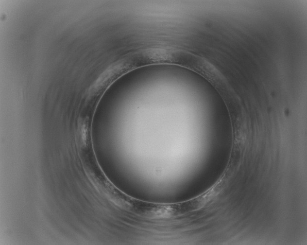 X0000056310124200508291203