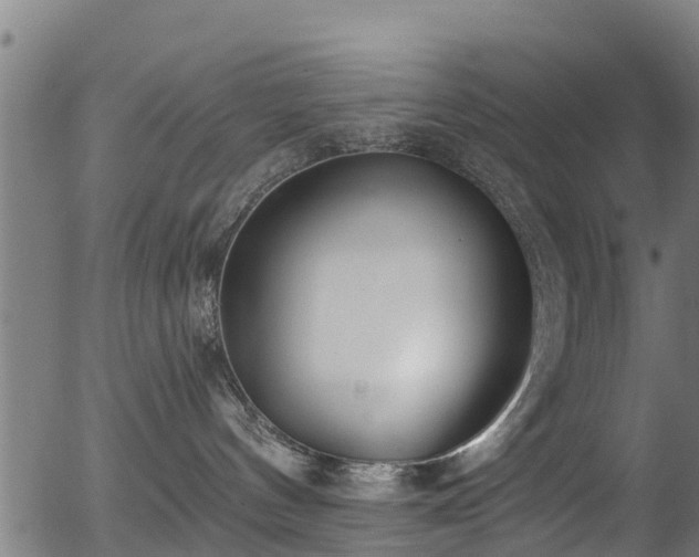 X0000056310144200508291203