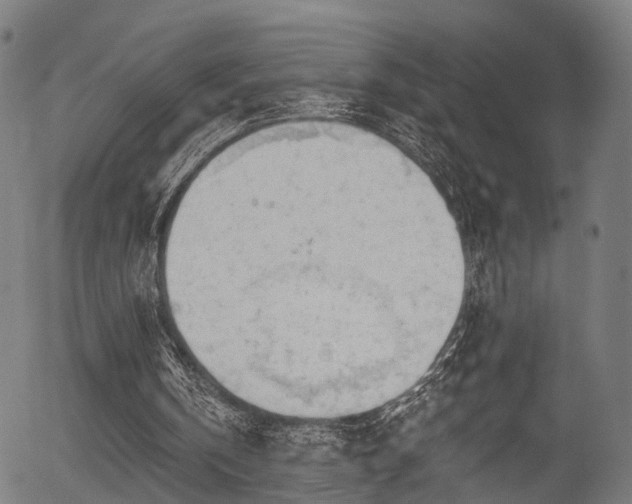 X0000056310146200508291202