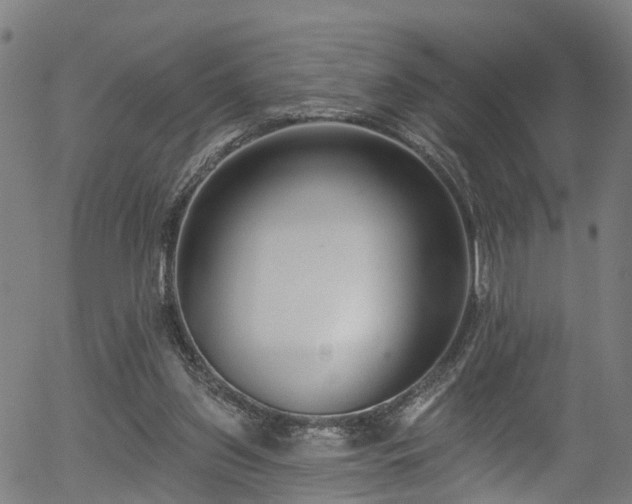 X0000056310157200508291202