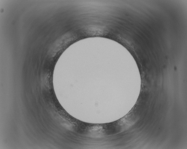 X0000056310162200508291202