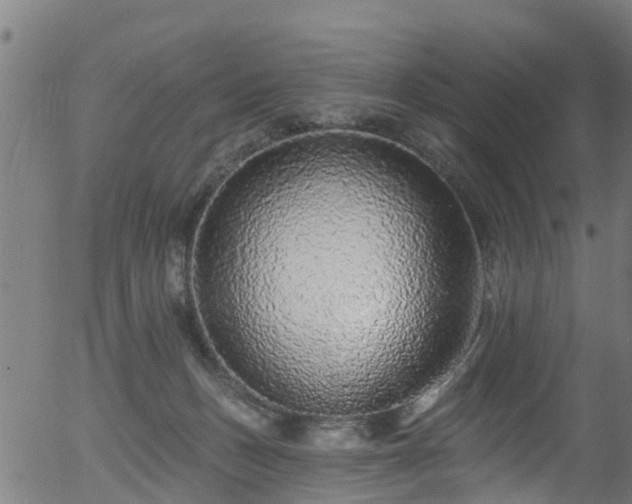 X0000056310175200508291203