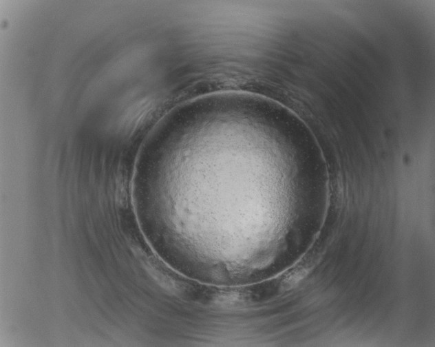 X0000056310177200508291203