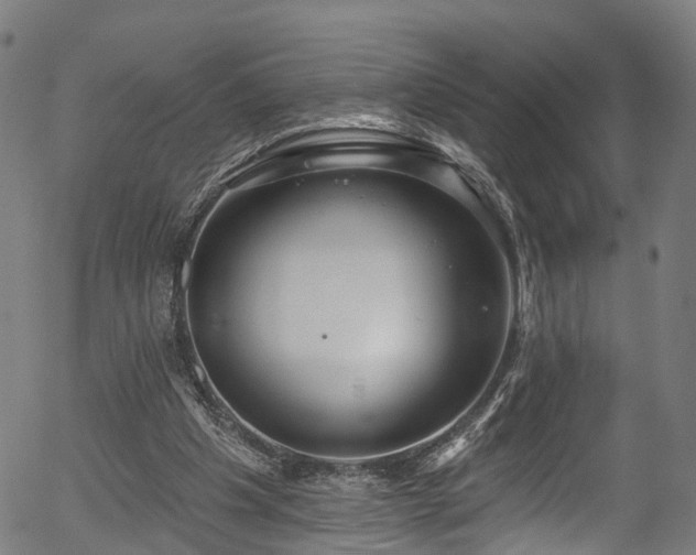 X0000056310201200508291202