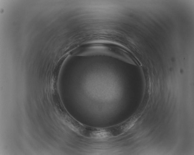 X0000056310219200508291202